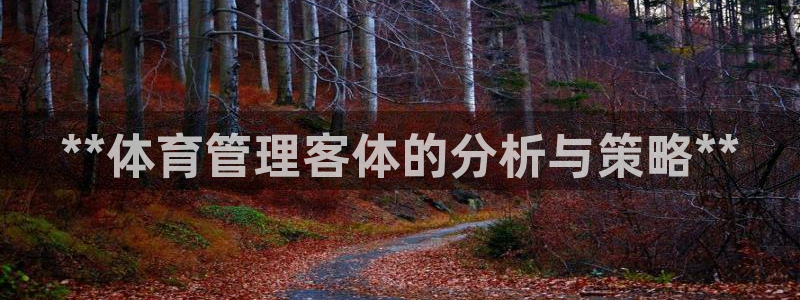 必一体育官网网站：*