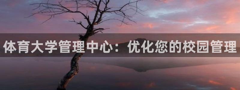 必一体育电子app：
