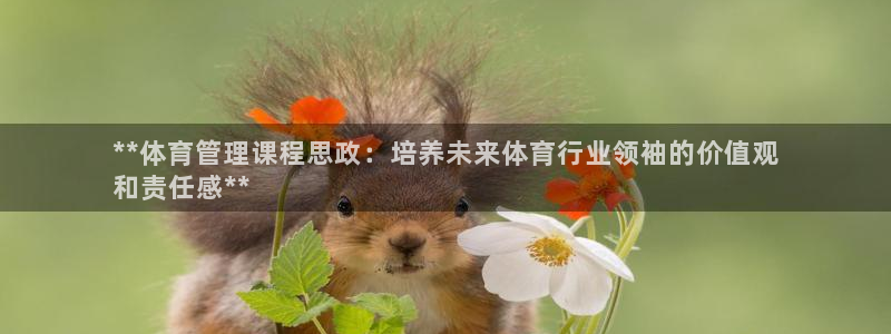 必一运动·(B-Sp