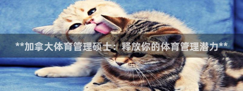 必一体育手机下载：*