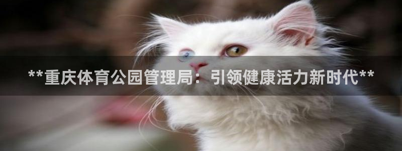 必一体育下载秀给网：