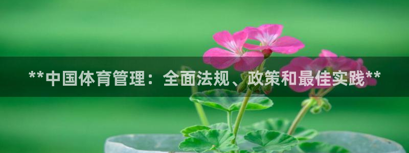 必一体育APP下载安