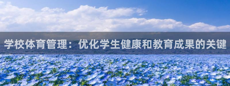 必一体育合法吗：学校