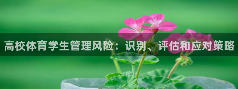 必一体育秀给网：高校