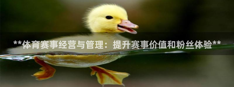 必一体育是啥：**体