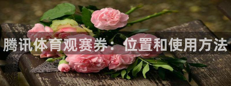 必一体育运动下载：腾
