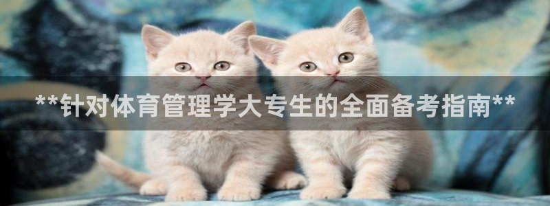 必一体育全站在线登录