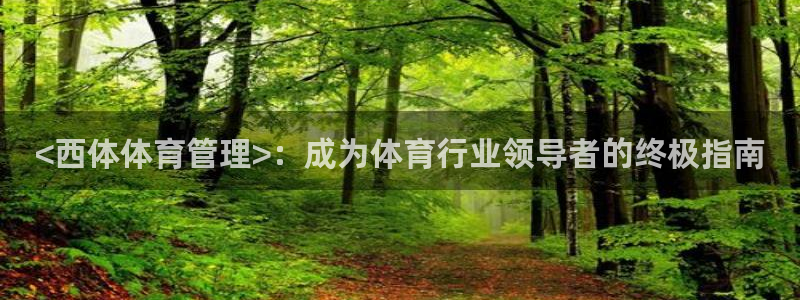 必一体育下载app：