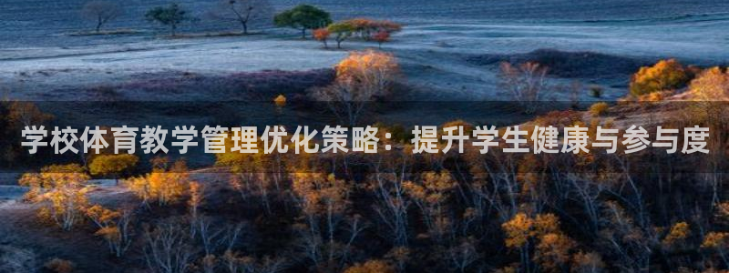 必一体育app官方下