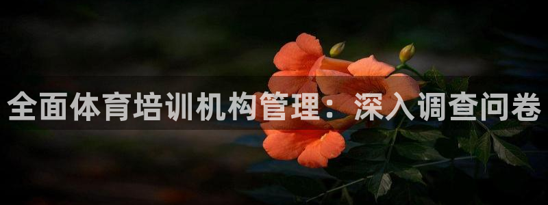 必一运动·体育：全面