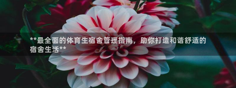 必一体育在线登陆：*