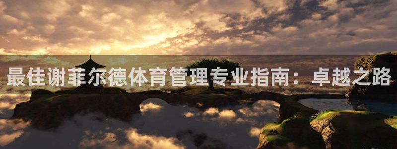 必一体育秀给网：最佳