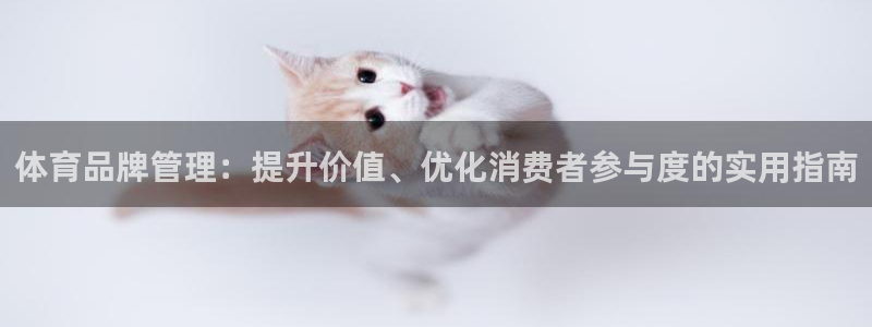 必一体育sport网