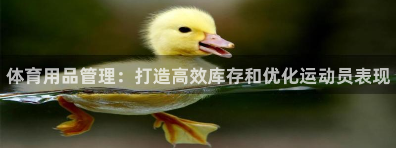 必一体育运动下载：体