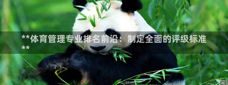 必一体育是啥：**体