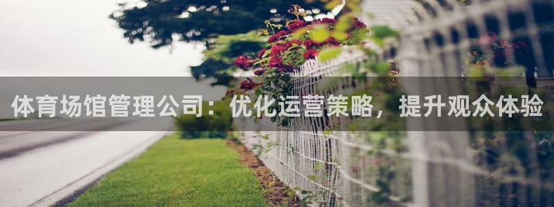 必一体育APP：体育