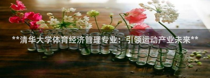 必一运动bsport