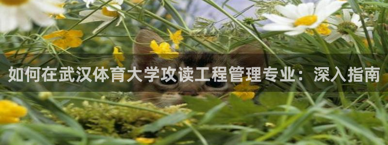 必一体育官方app下