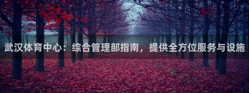 必一体育电子app：