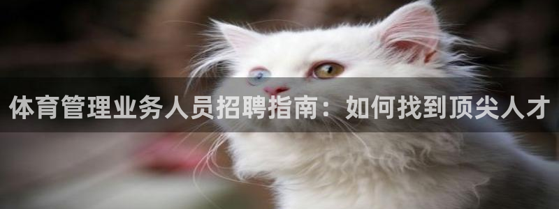 必一体育sport官