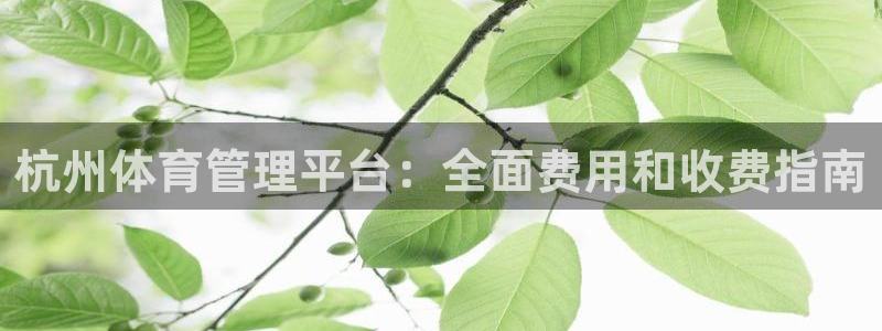 必一运动sport爱
