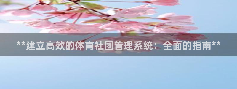 必一体育全站在线登录