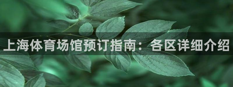 必一体育网站：上海体