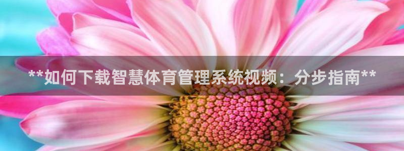 必一运动 b 体育素