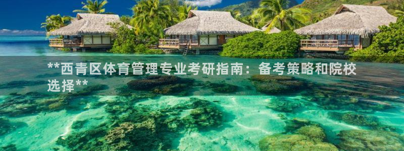 必一体育最新官网入口