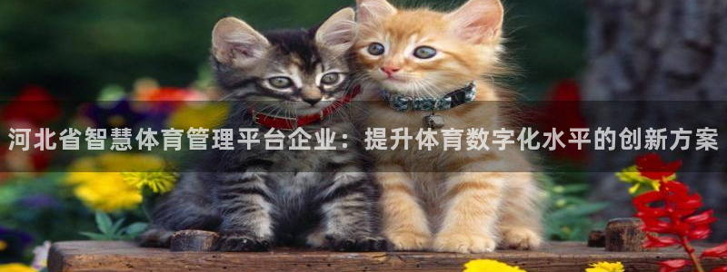 必一体育在线官网：河