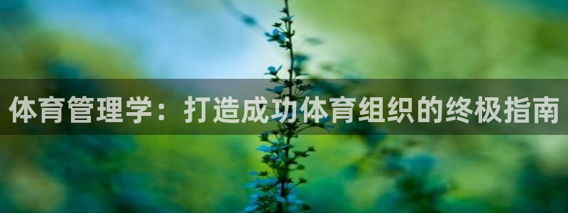 必一体育流水线是什么