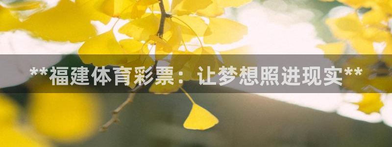 必一体育sportB