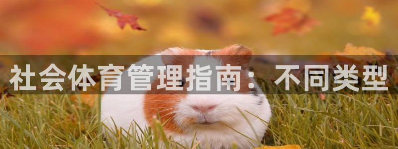 社会体育管理指南：不