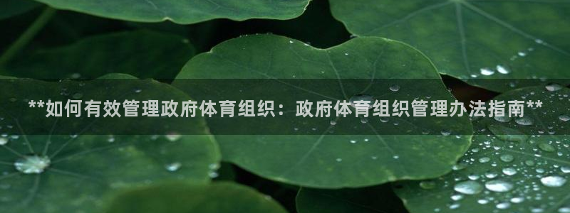 必一体育是啥：**如