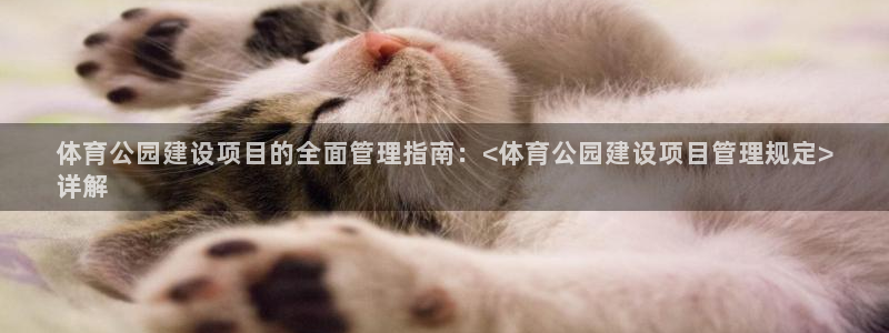 必一体育全站在线登录
