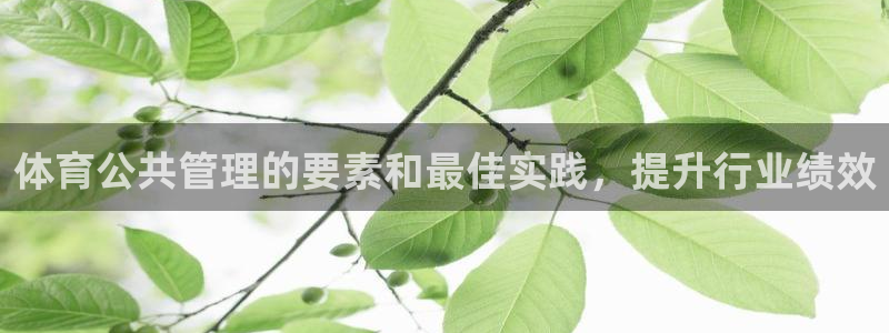 必一运动体育官网：体