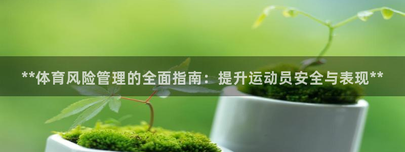 必一体育app官方下