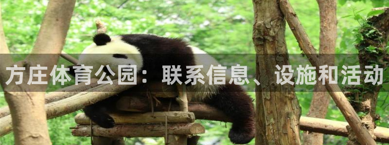 必一体育黑钱：方庄体