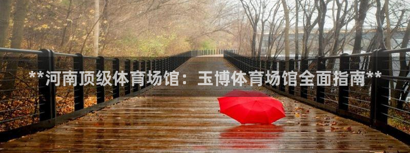 必一体育电子app：