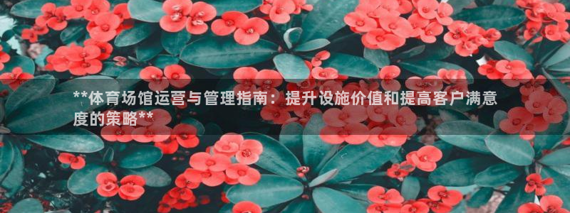 必一体育sport官