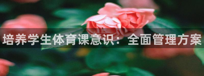 必一体育下载app下