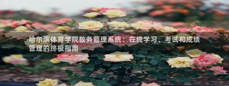 必一体育sport装