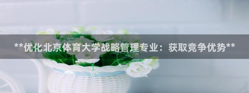 必一体育电子app：