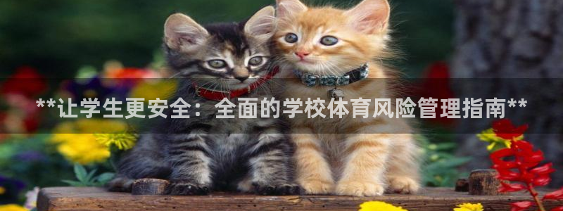 必一体育合法吗：**