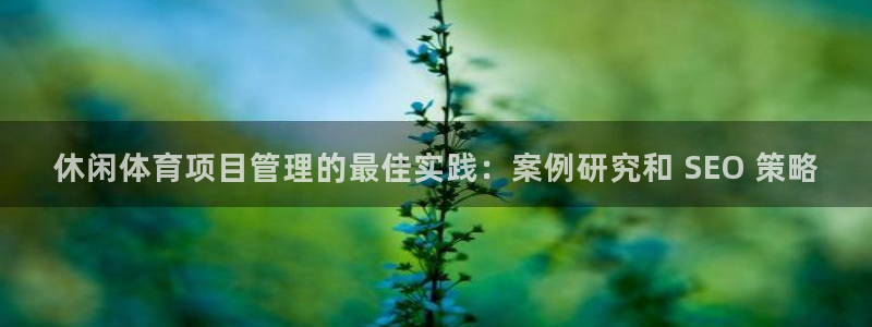 必一运动sport爱