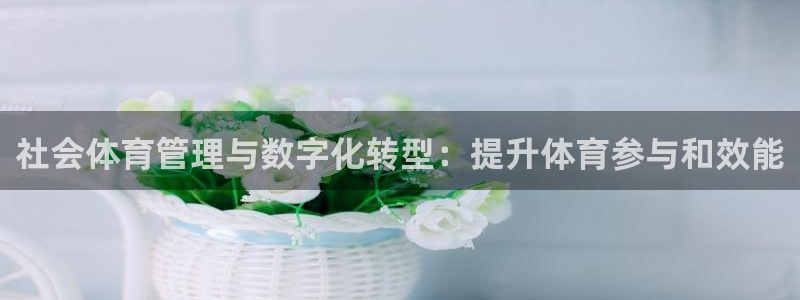 必一体育没了：社会体