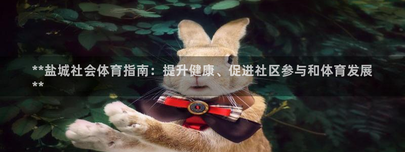 必一体育sport装