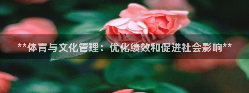 必一体育官方app下