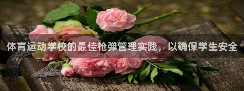 必一体育运动下载：体