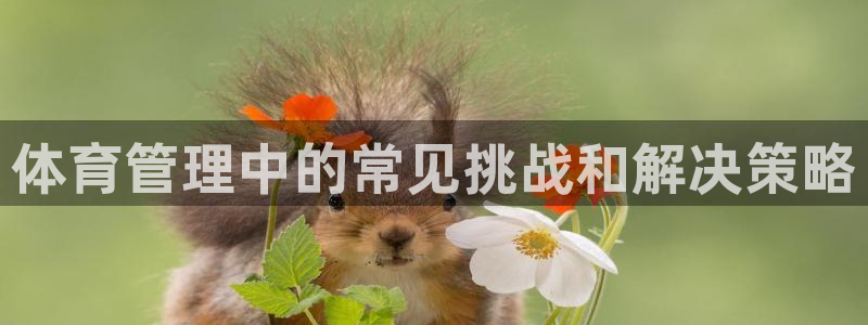 必一运动aop：体育